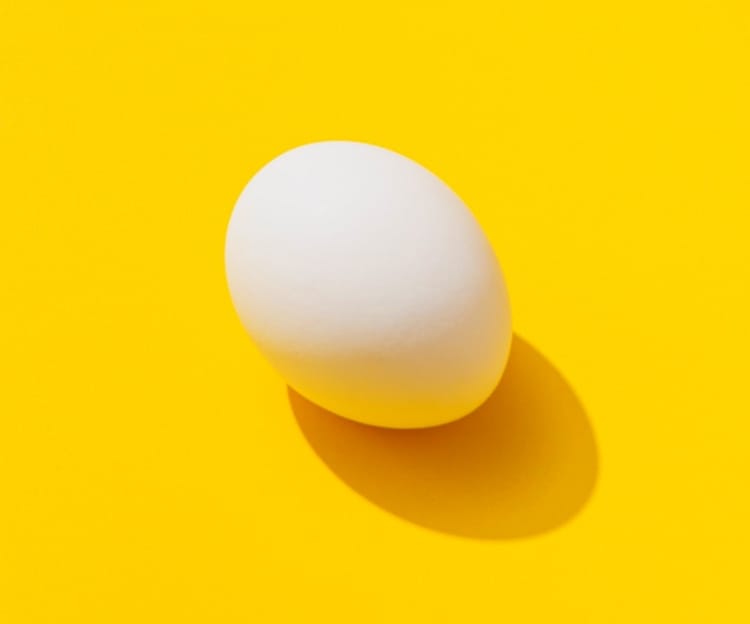 Image of egg